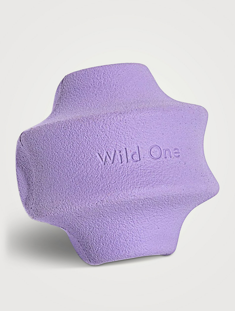 Small Twist Toss Dog Toy