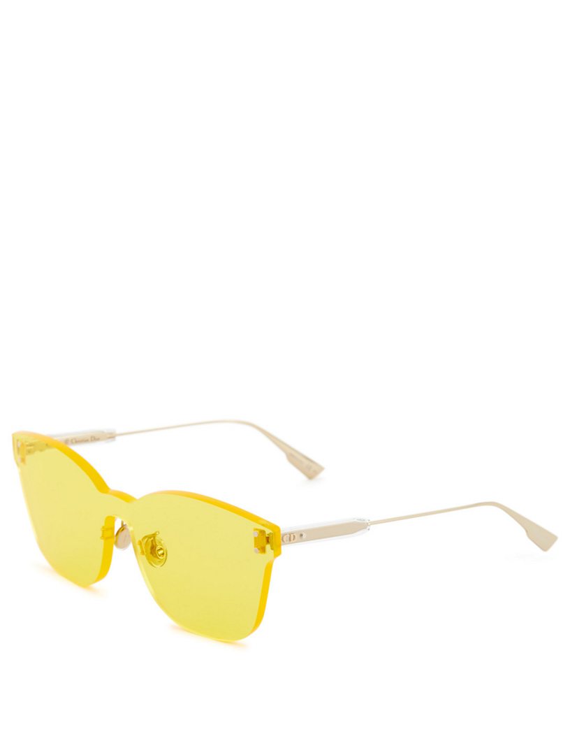 DIOR DiorColorQuake2 Square Sunglasses Holt Renfrew