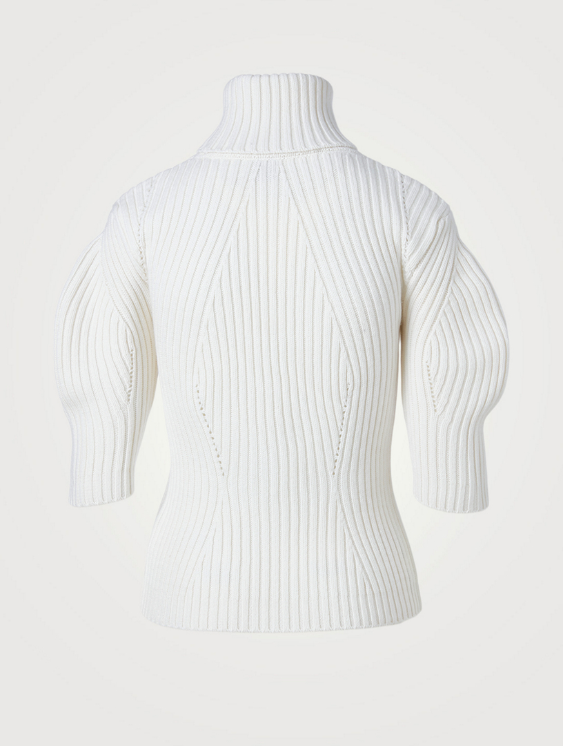 Wool And Cashmere Turtleneck Sweater