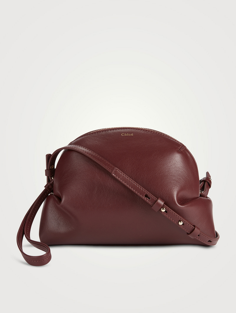 Chloé's C Leather Mini Crossbody Bag - BagAddicts Anonymous