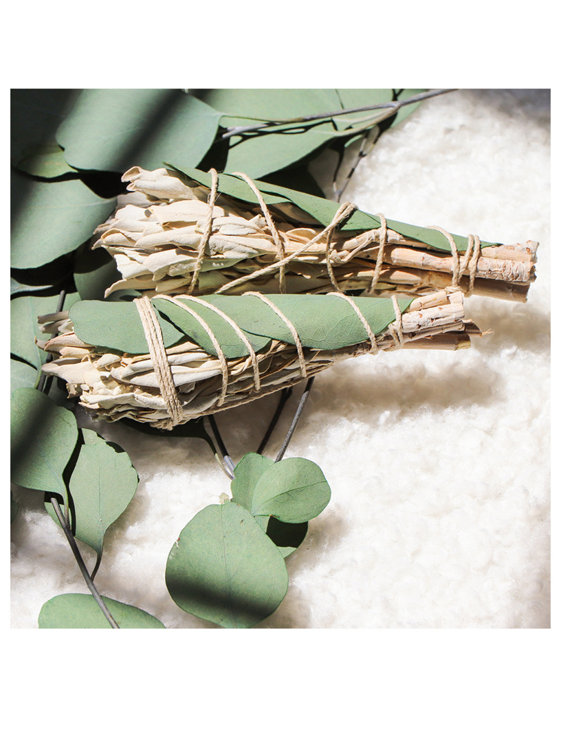 Eucalyptus Sage