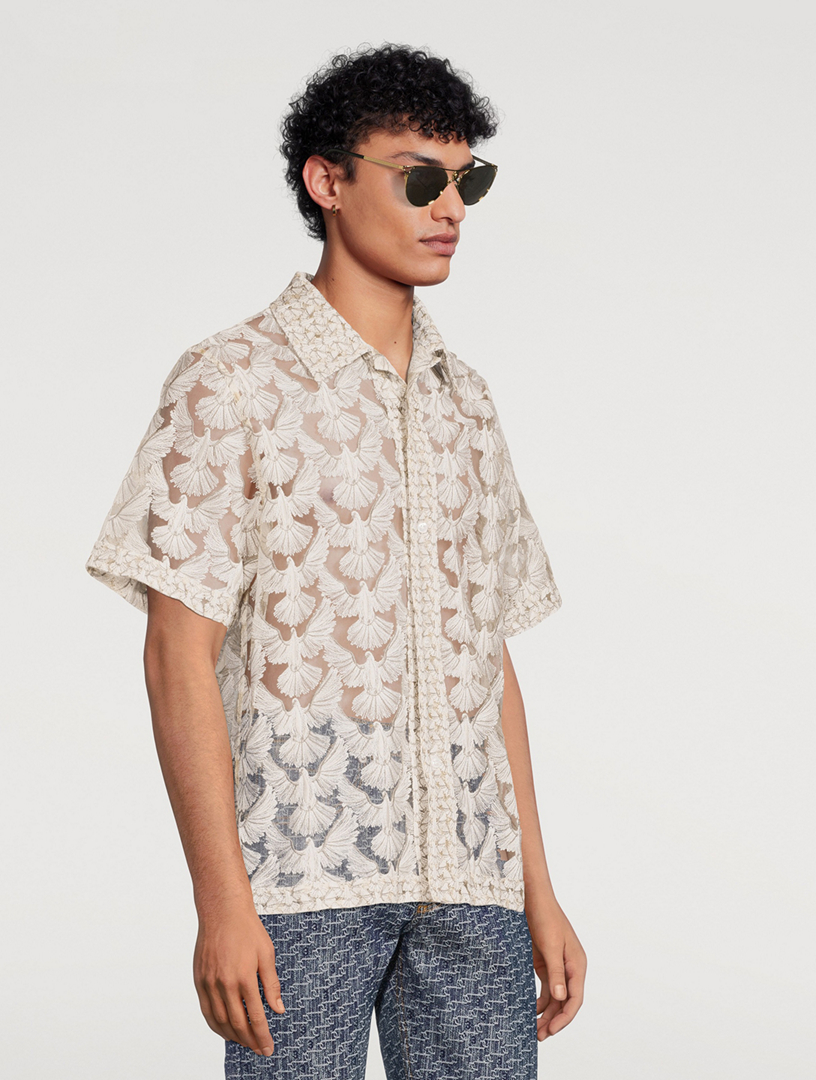 Aviator Sunglasses