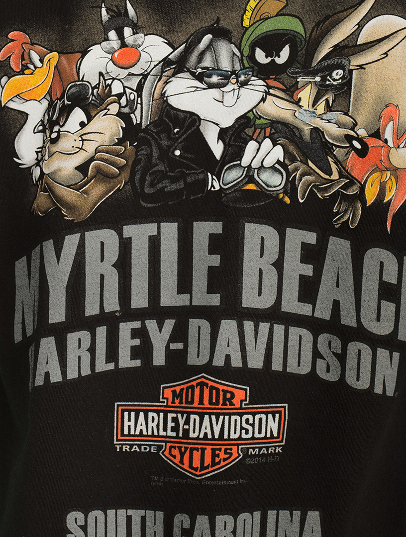 Harley-Davidson × LOONEY TUNES Tシャツ ブラック 1993s HARLEY-DAVIDSON/LOONEY TUNES T-SHIRT | 無無