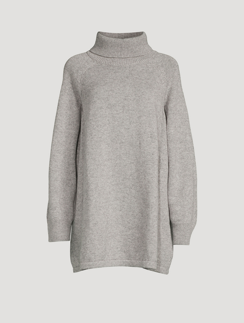 Medee Turtleneck Sweater Dress