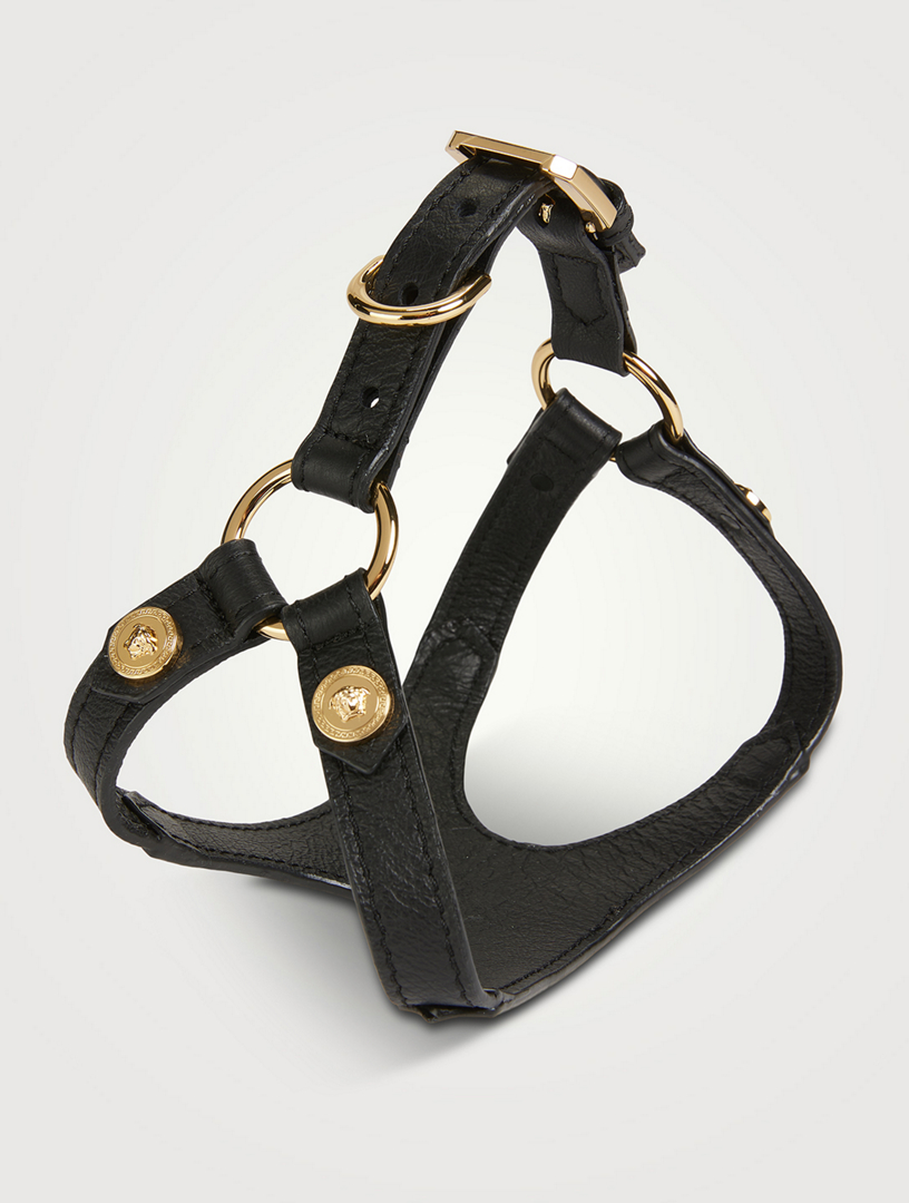 Leather Harness With Medusa Studs Versace