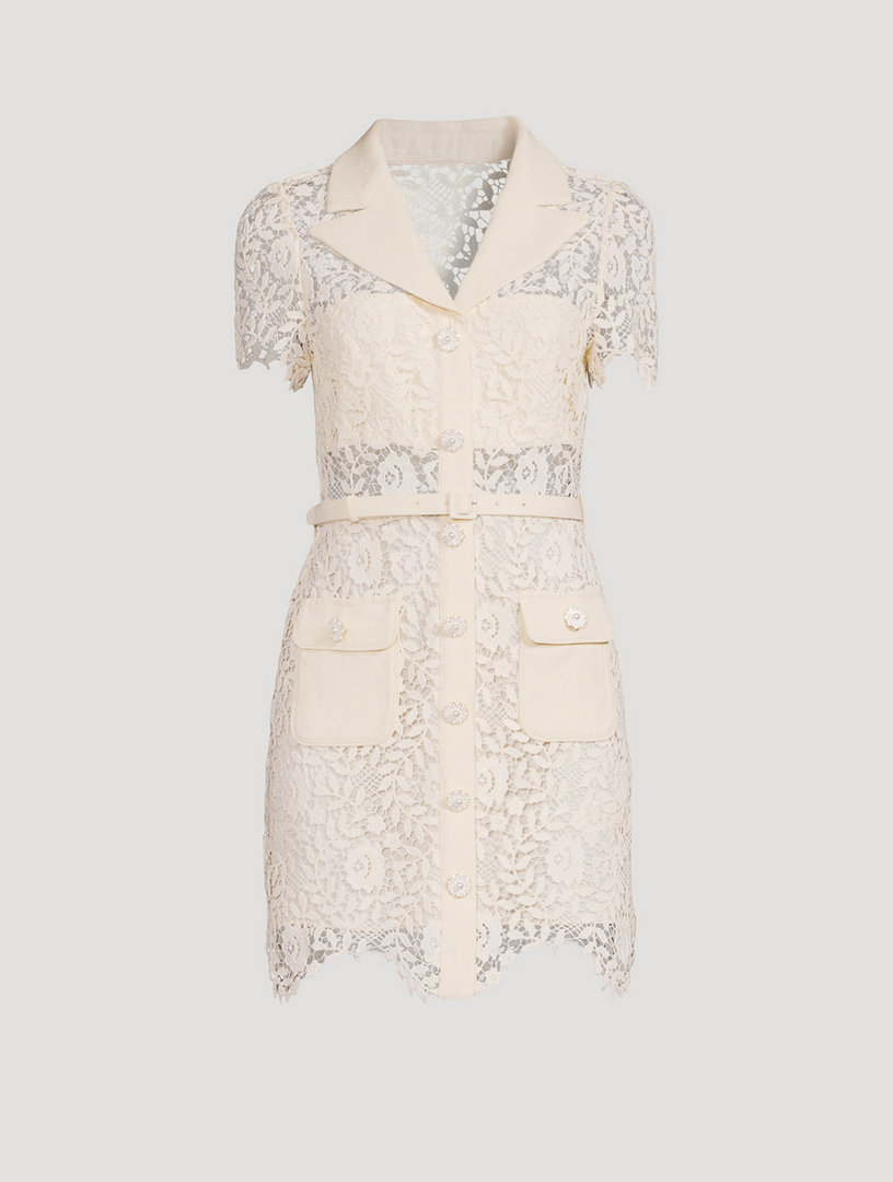 Rose Lace Mini Dress