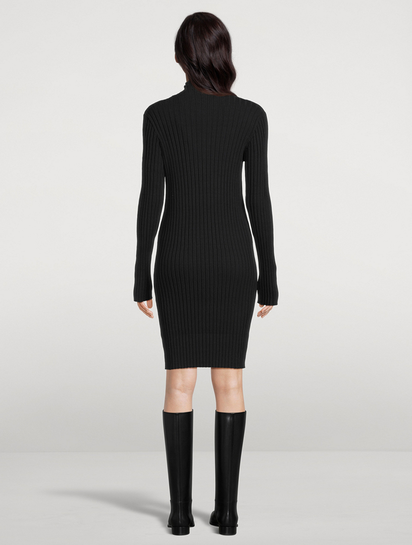 Diolette Silk Knit Mini Dress
