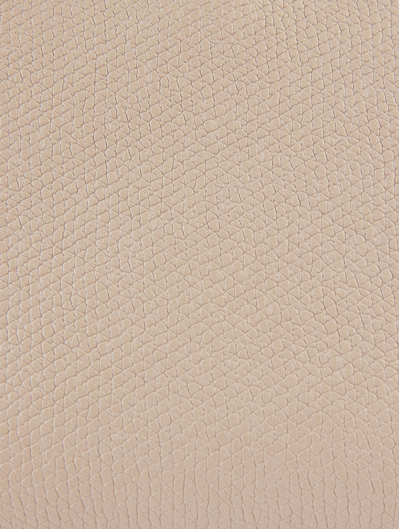 Small Le Roseau Leather Crossbody Bag
