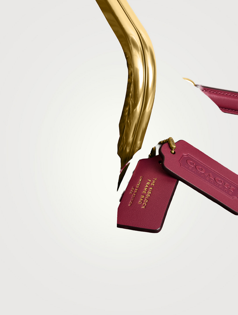 COACH Kisslock 27 Fringe Straw Frame Bag | Holt Renfrew