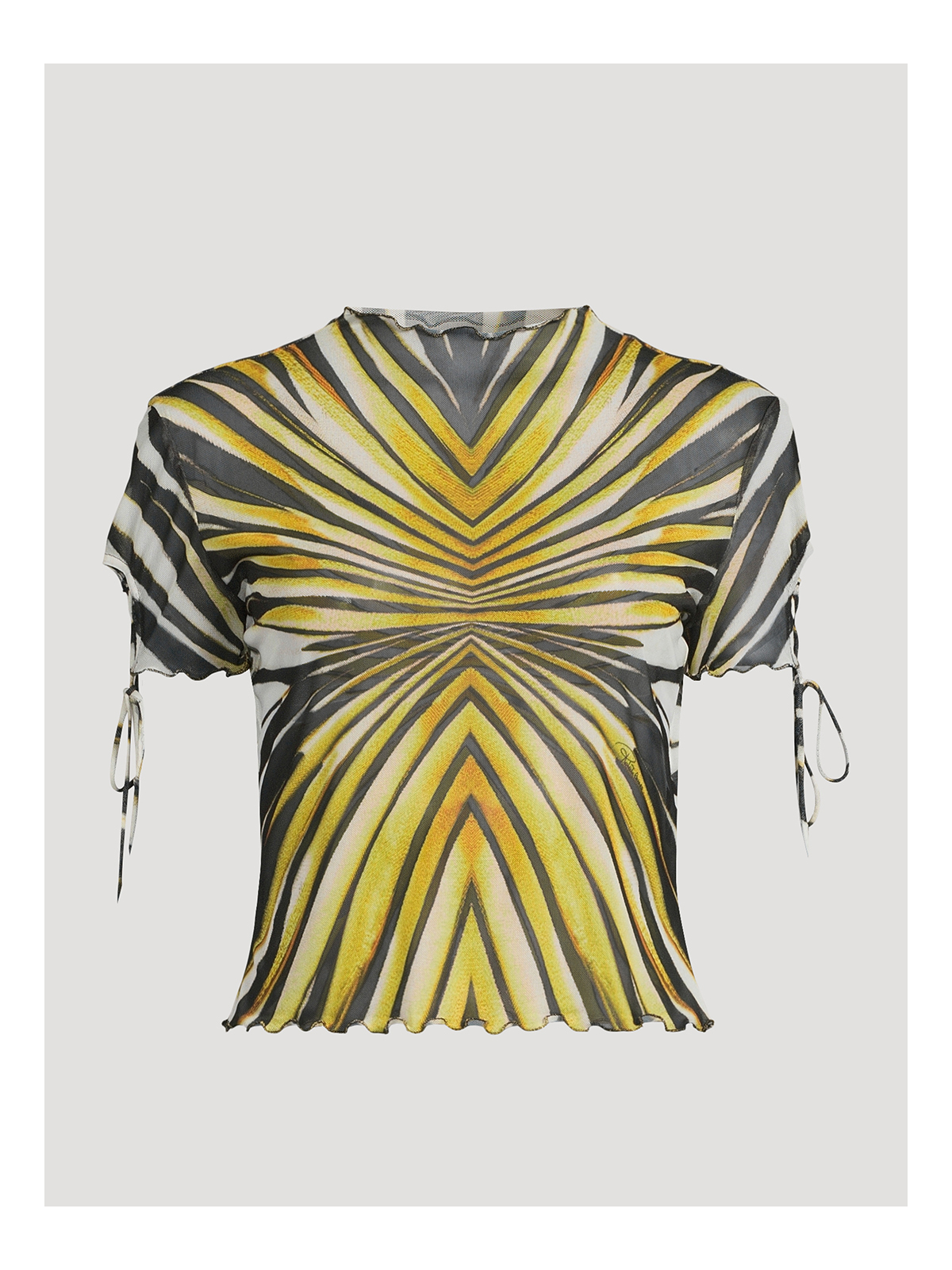 ROBERTO CAVALLI Ray Of Gold Printed T-Shirt