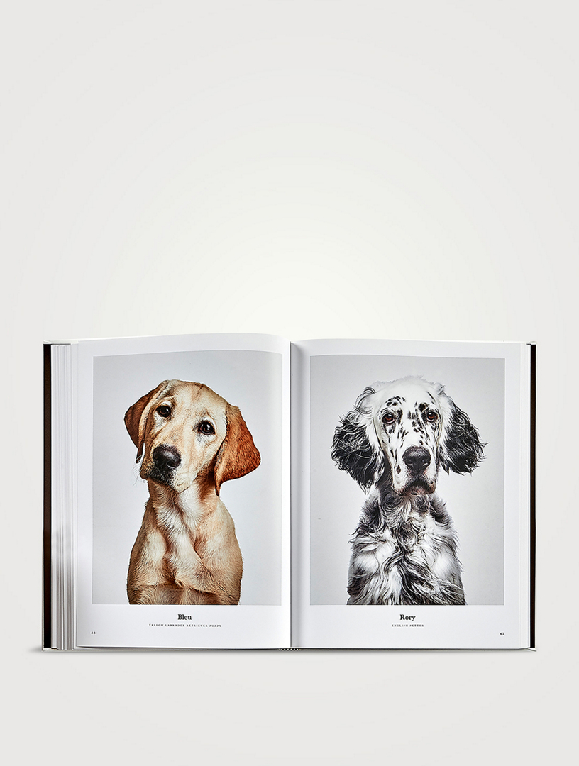KEYCHAIN White/Brown LOUIS VUITTON French Bulldog - TDI, Inc