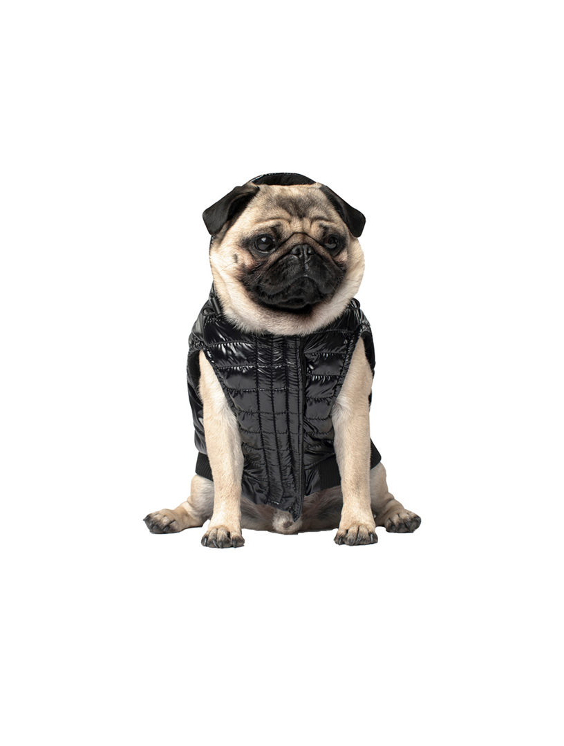 Shiny Puffer Dog Vest