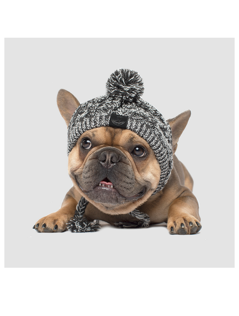 Polar Pom Pom Dog Hat- Size