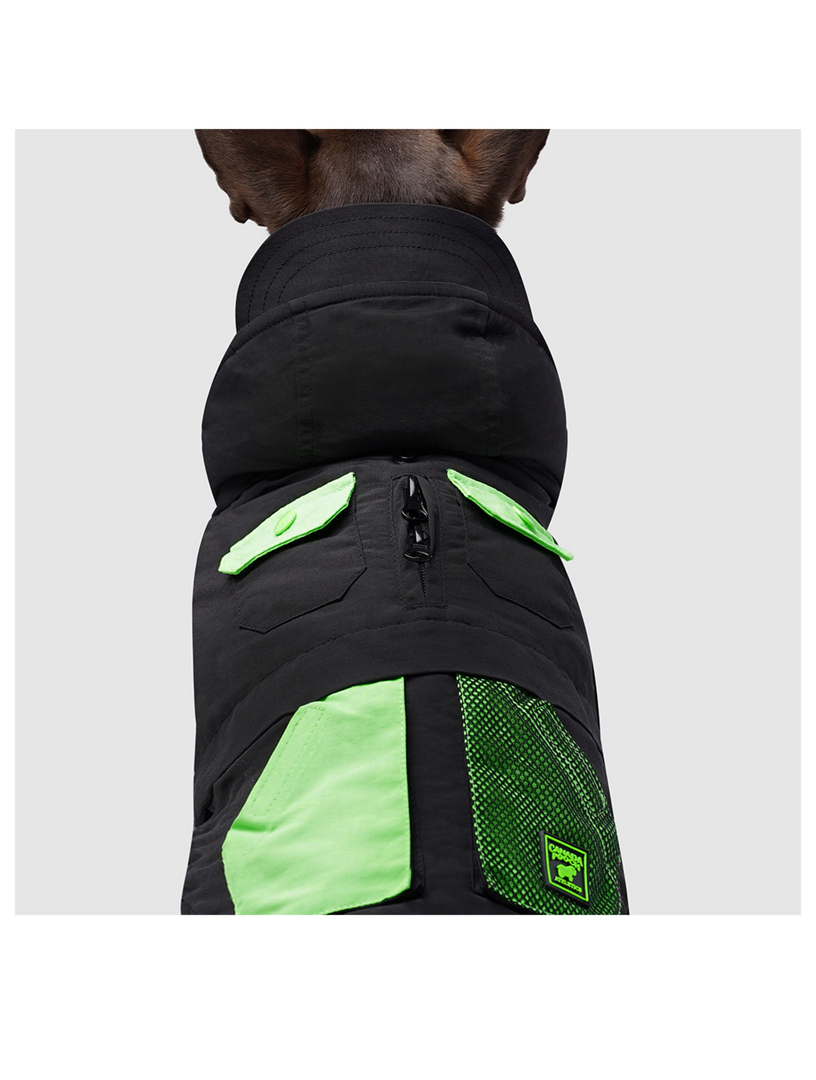 Renew Sustainable Dog Parka