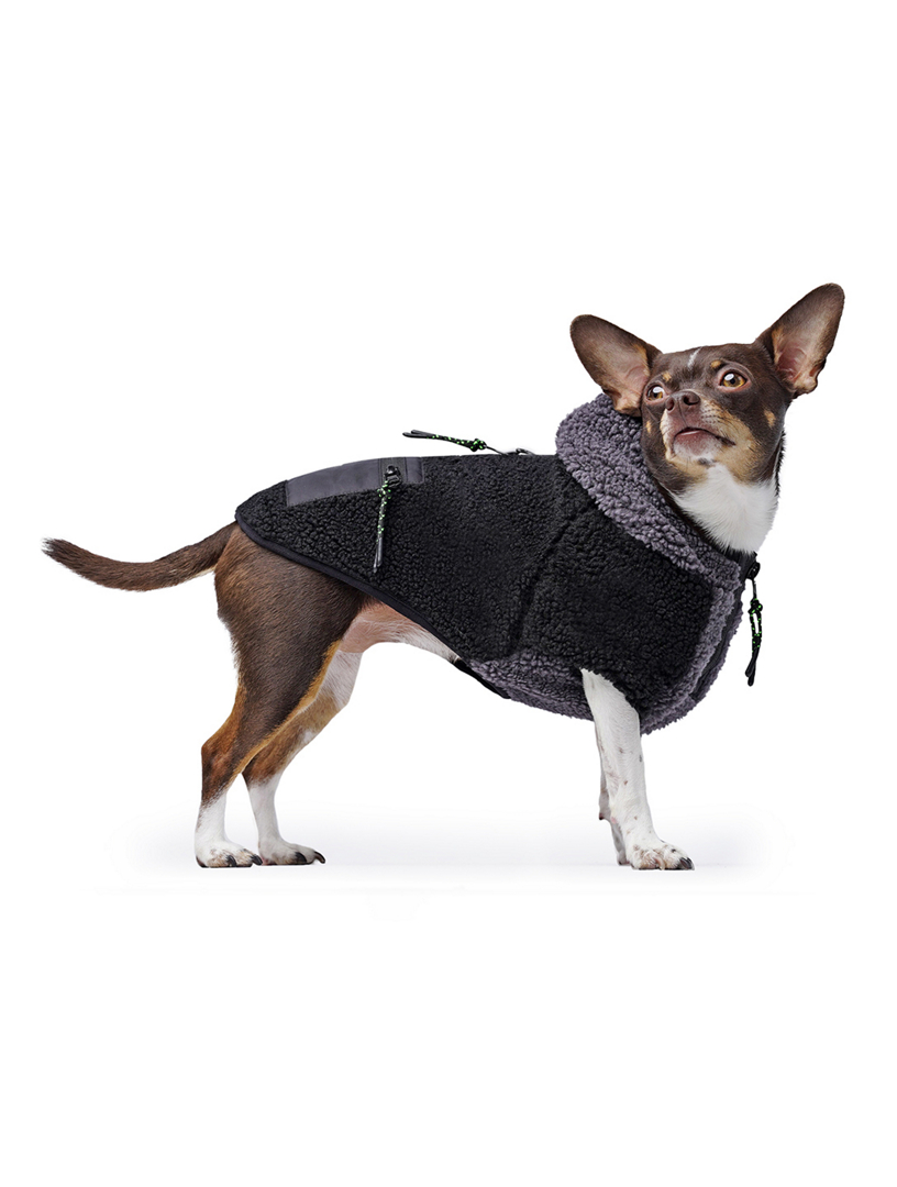 Cool Factor Dog Hoodie