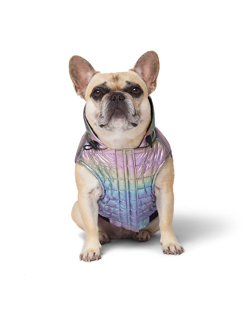 Shiny Puffer Dog Vest