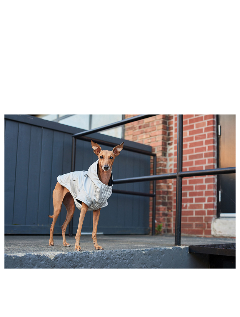 CANADA POOCH Cold Front Raincoat Holt Renfrew