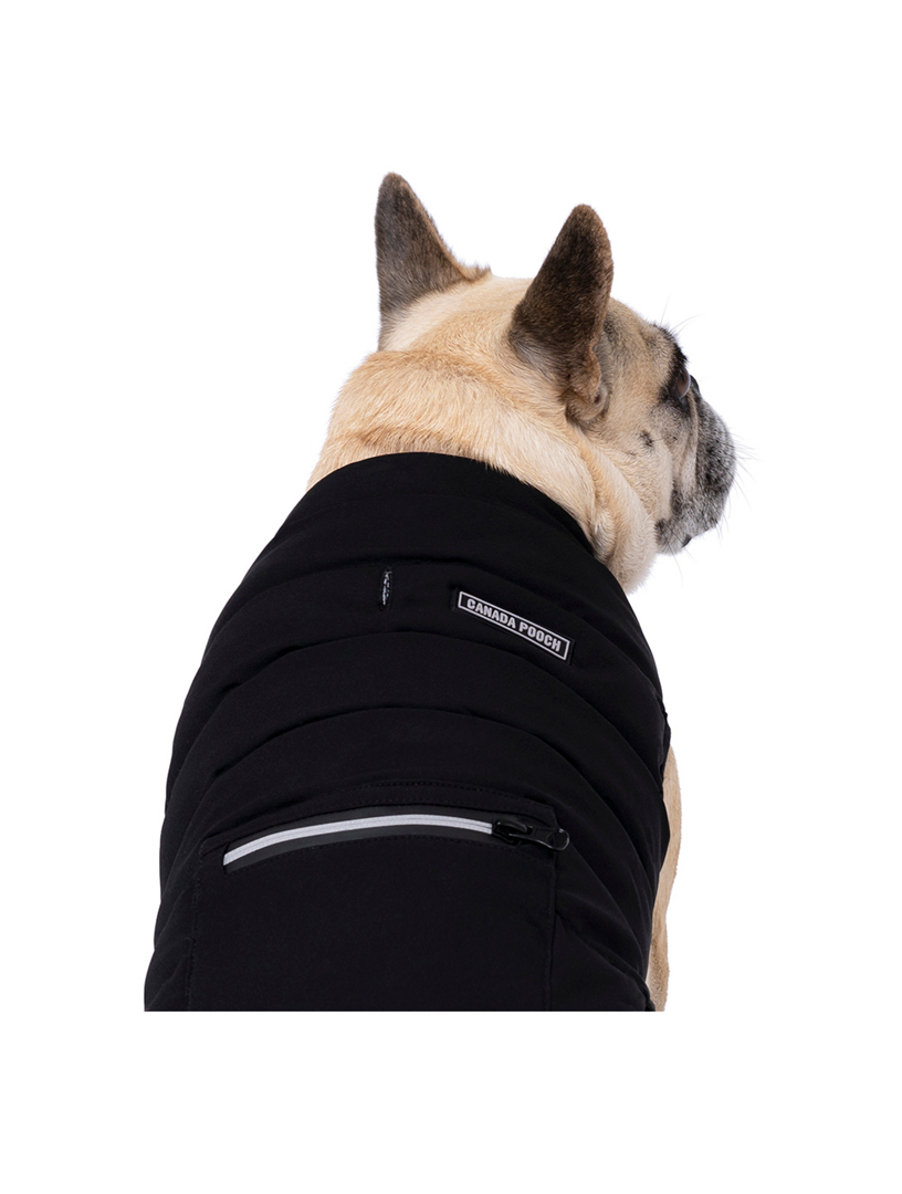 Ultimate Stretch Dog Vest