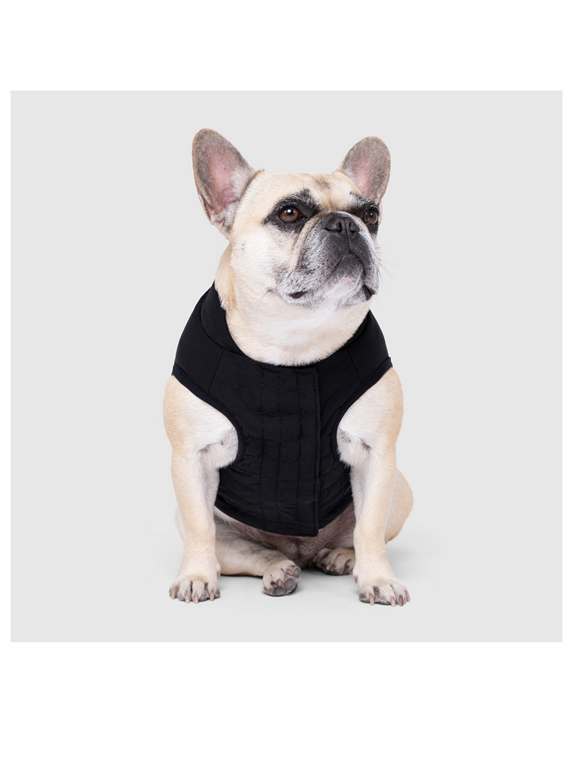 Ultimate Stretch Dog Vest