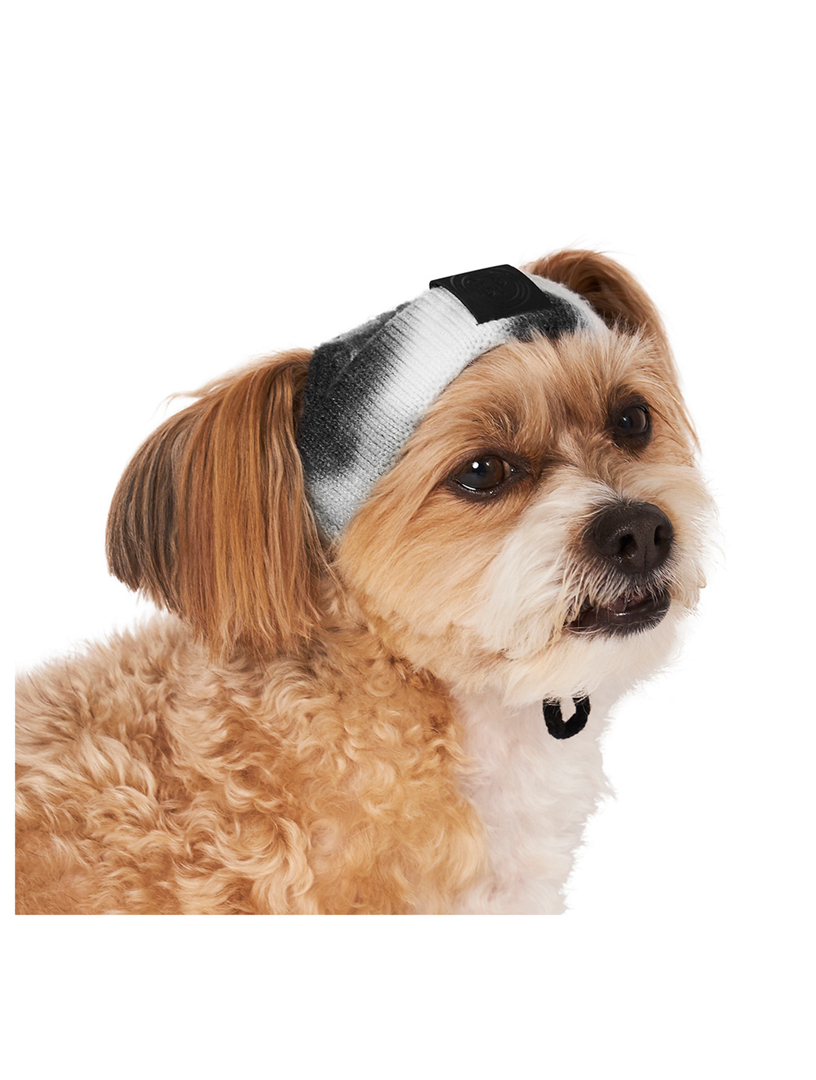 Tie Dye Dog Beanie
