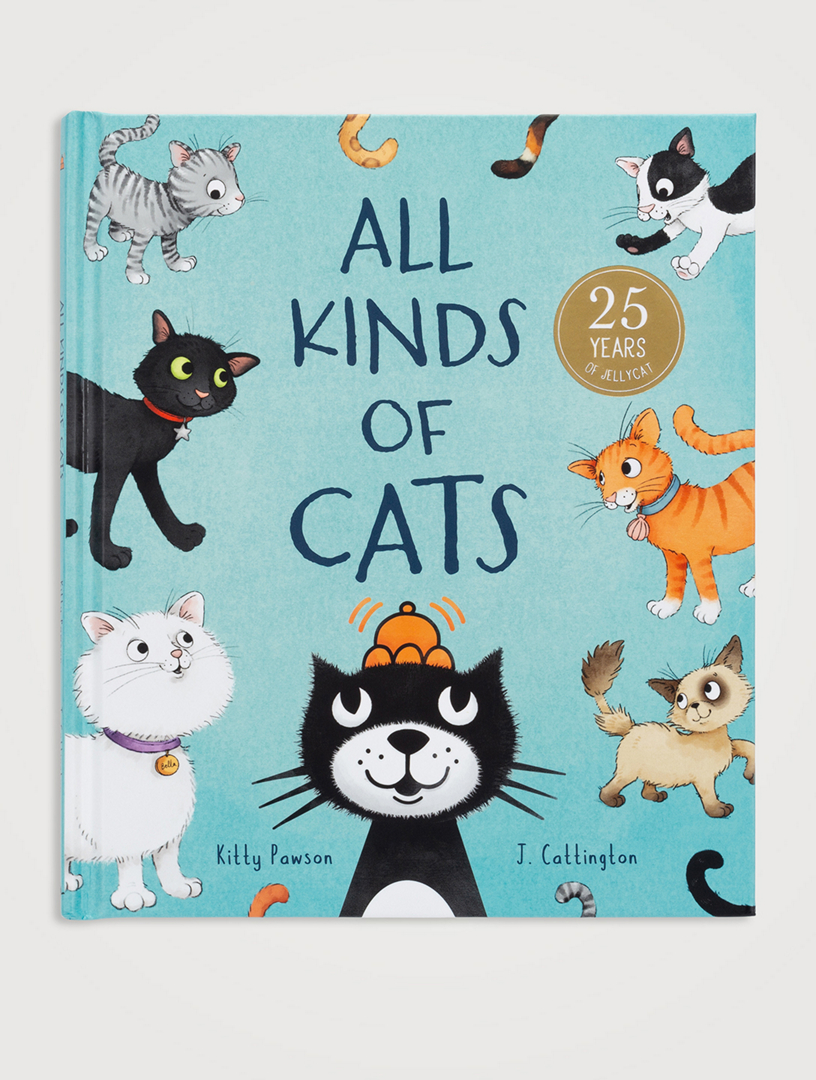 All Kinds Of Cats Book