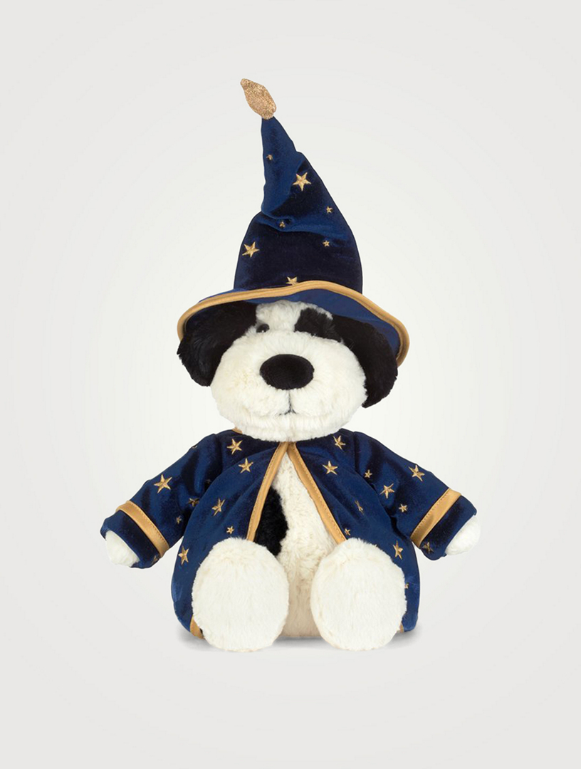 Rufferty Puppy Wizard Outfit