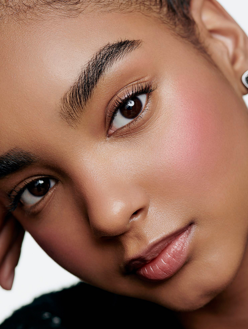 CHANEL Eyeshadow And Blush Palette | Holt Renfrew