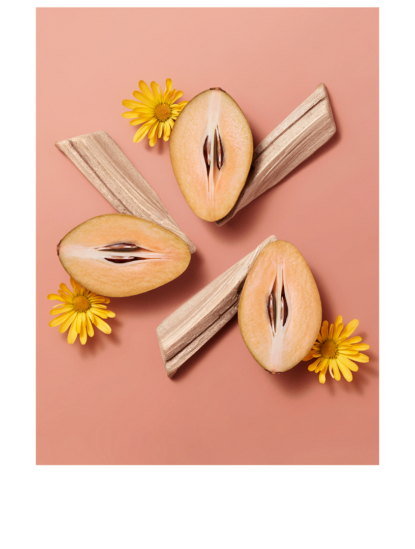 Hermesistible Lip Oil