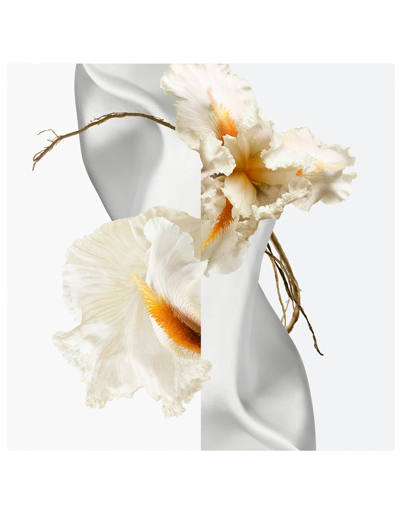 HERMÈS Musc Pallida Eau de Parfum | Holt Renfrew