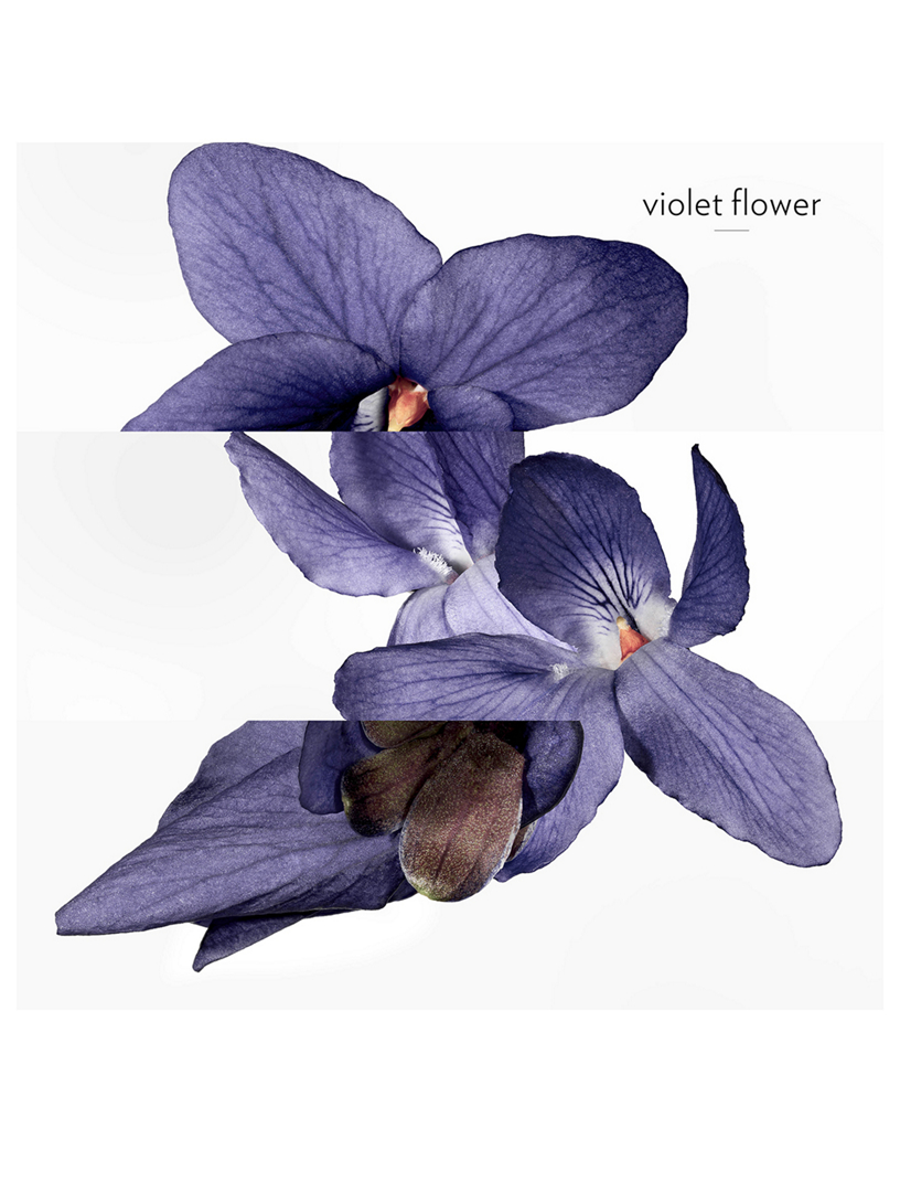 HERMÈS Violette Volynka Eau de Toilette | Holt Renfrew
