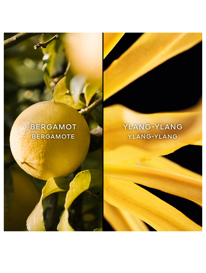 GUERLAIN Les Légendaires Terracotta Eau de Toilette | Holt Renfrew