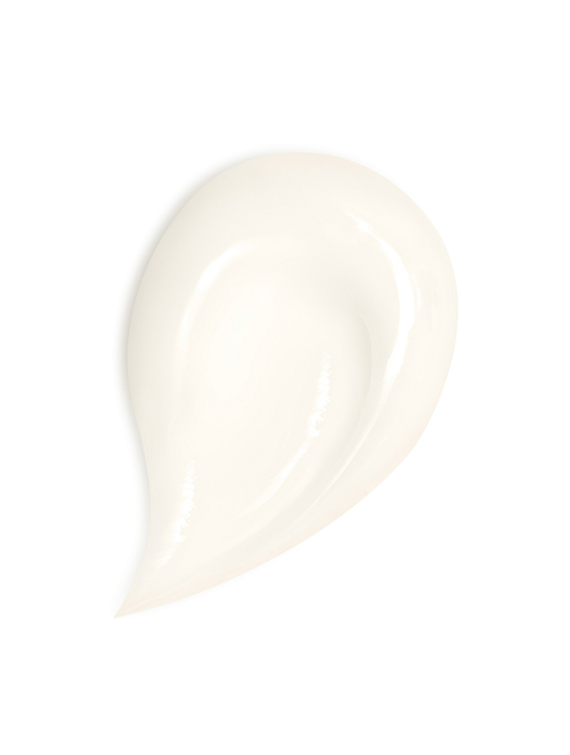 Abeille Royale Honey Treatment Day Cream - The Refill