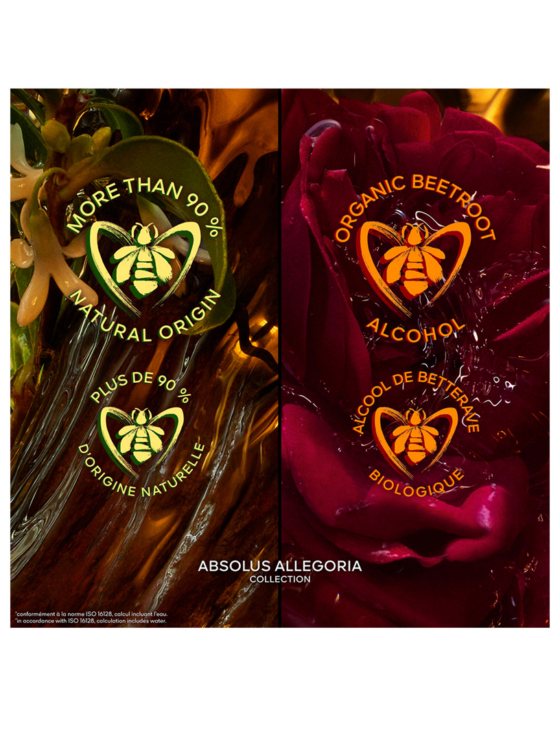 GUERLAIN Absolus Allegoria Ambre Samar Eau de Parfum | Holt Renfrew
