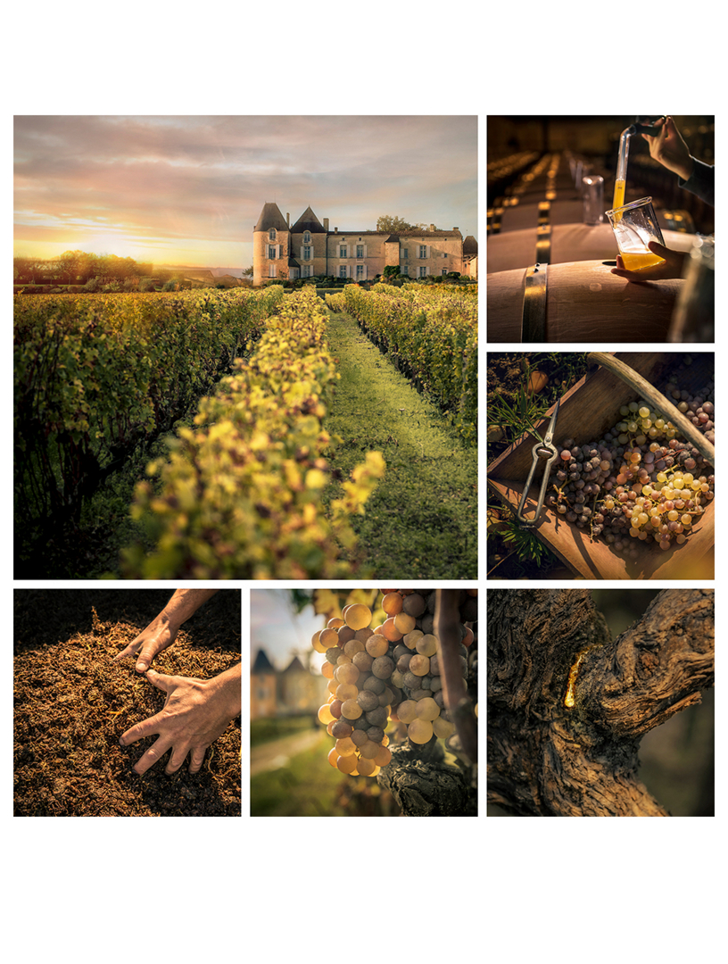 L'Or de Vie La Cure - Vintage 2019