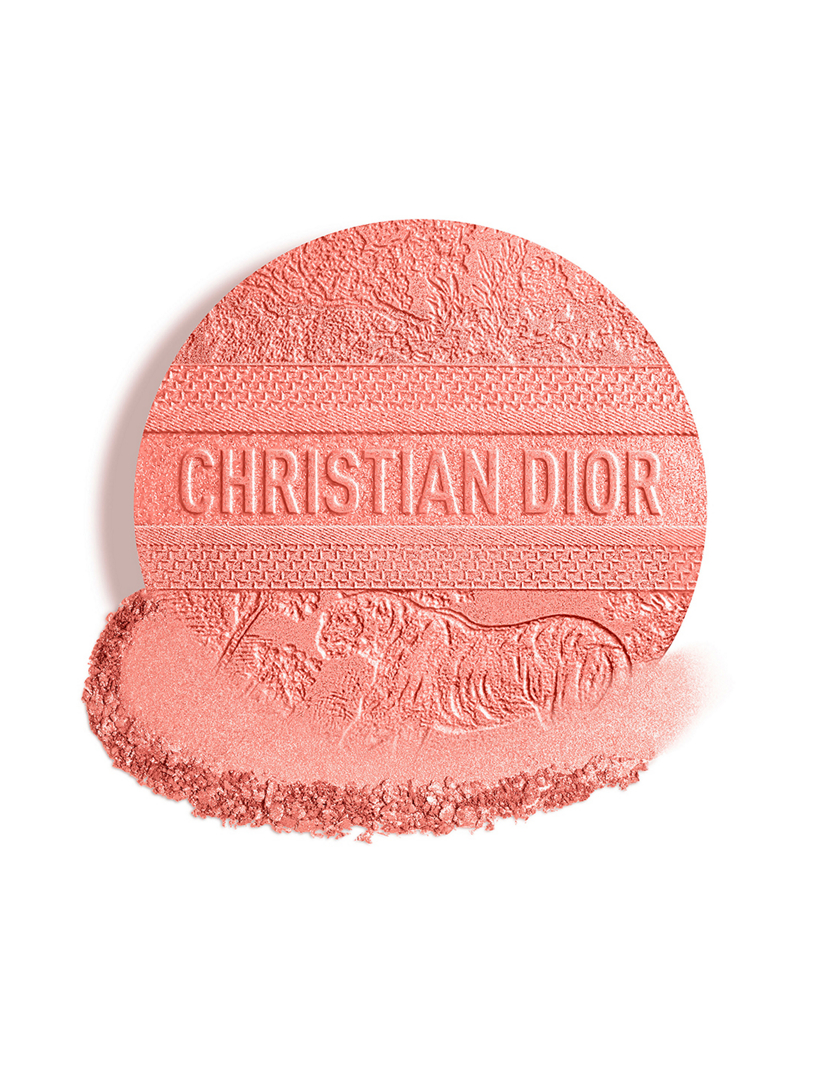DIOR Dior Forever Glow Luminizer - Limited Edition | Holt Renfrew