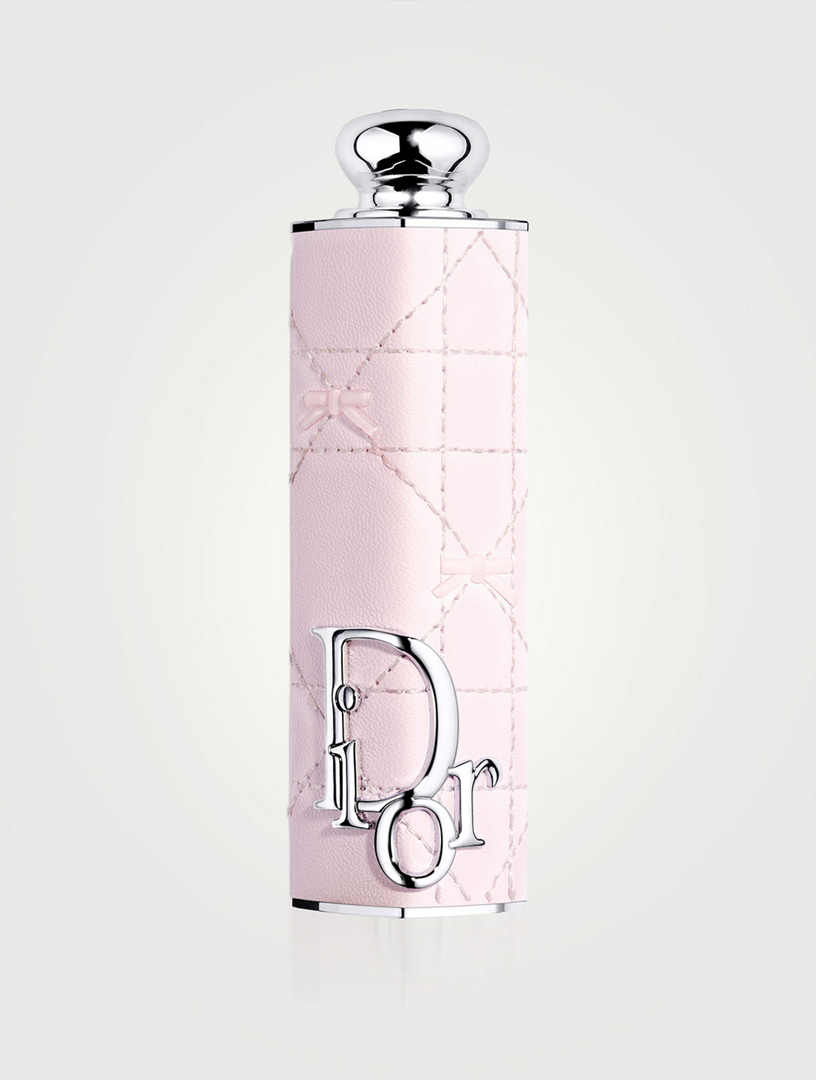DIOR Dior Addict Case - Limited Edition Refillable Case | Holt Renfrew