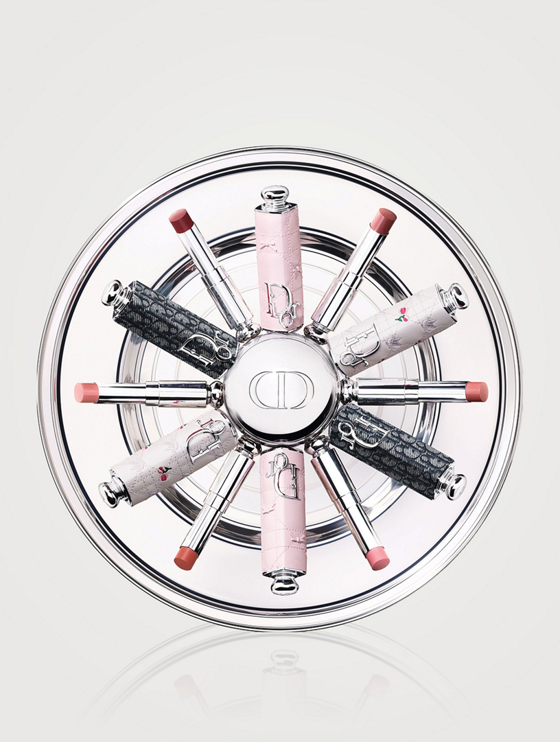 DIOR Dior Addict Case - Limited Edition Refillable Case | Holt Renfrew