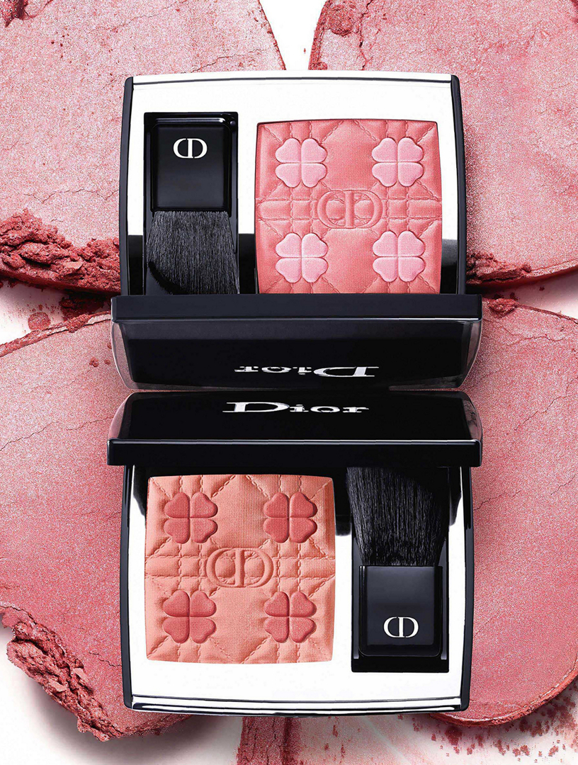 DIOR Dior Rouge Blush - Limited Edition | Holt Renfrew