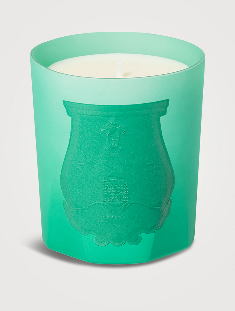 Under the Trees Scented Candle