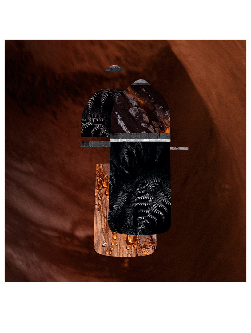 Pasha Noir Absolu Parfum