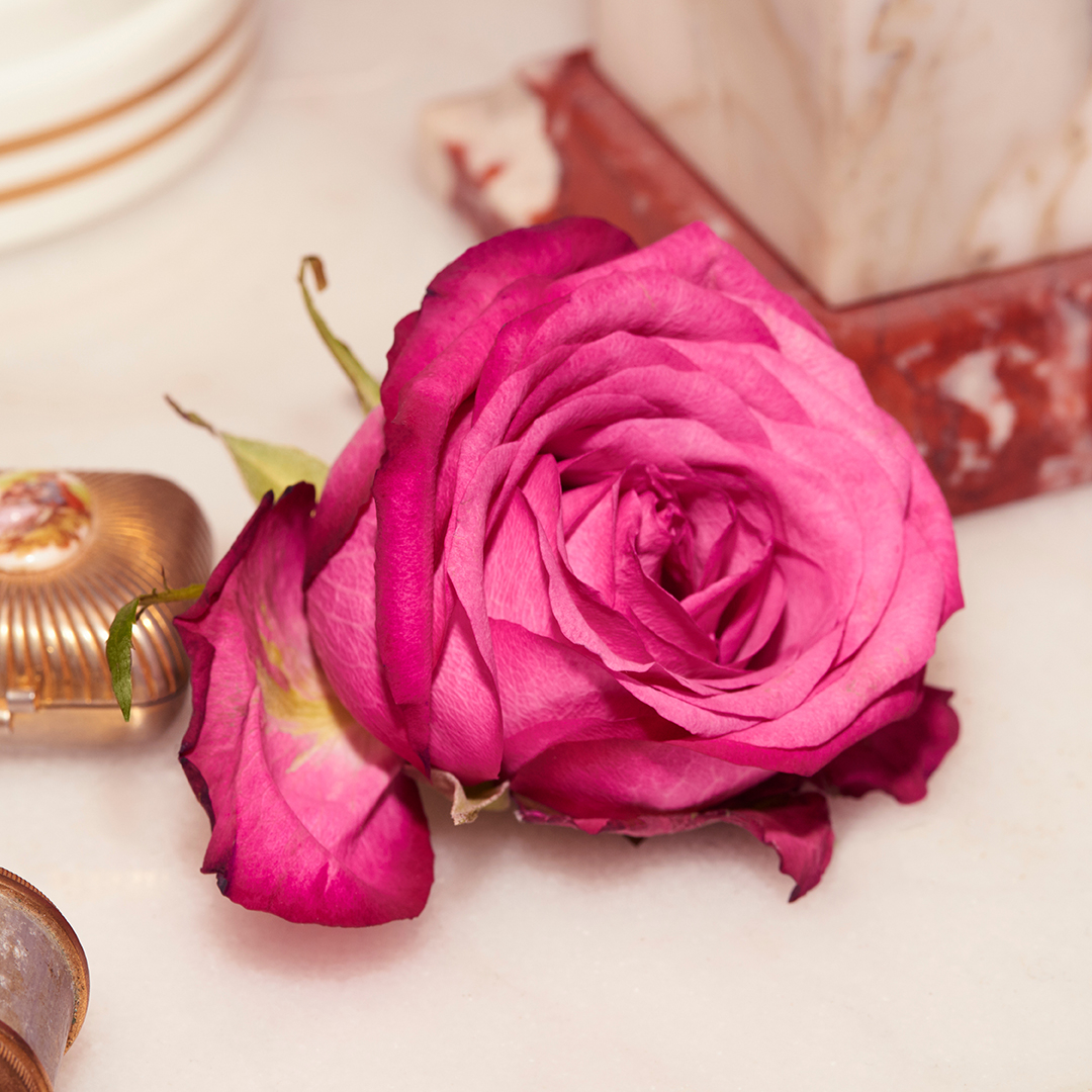 The Alchemist's Garden A Forgotten Rose Perfumed Oil