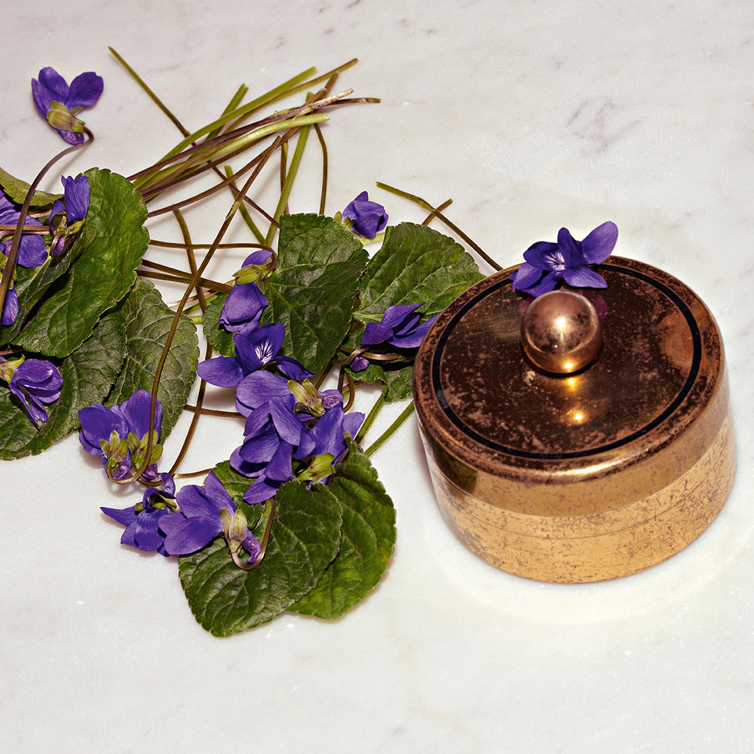 香水(女性用) Gucci The Alchemist's The Virgin Violet Amazon.com : GUCCI THE VIRGIN VIOLET by Gucci, EAU DE PARFUM
