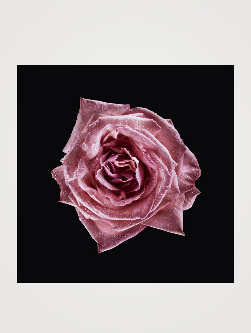 Armani/Privé Rose Milano Eau de Toilette