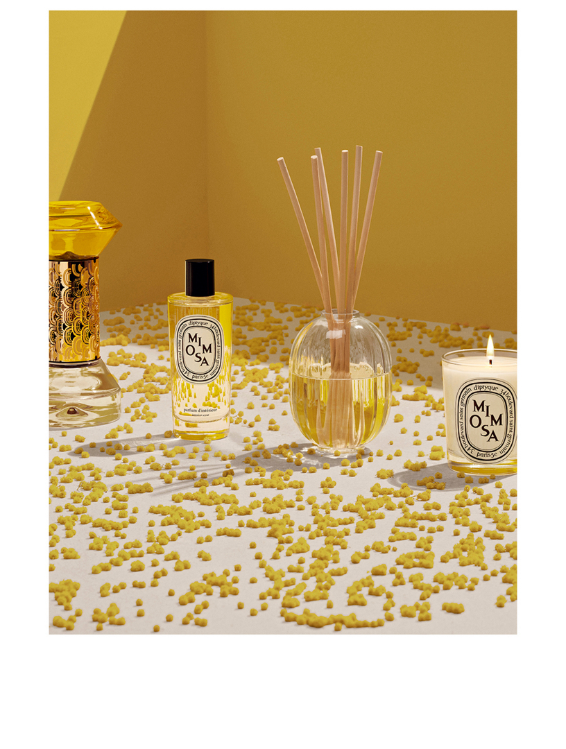 DIPTYQUE Mimosa Room Spray | Holt Renfrew