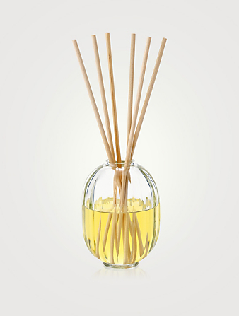Citronnelle Fragrance Reed Diffuser - Limited Edition