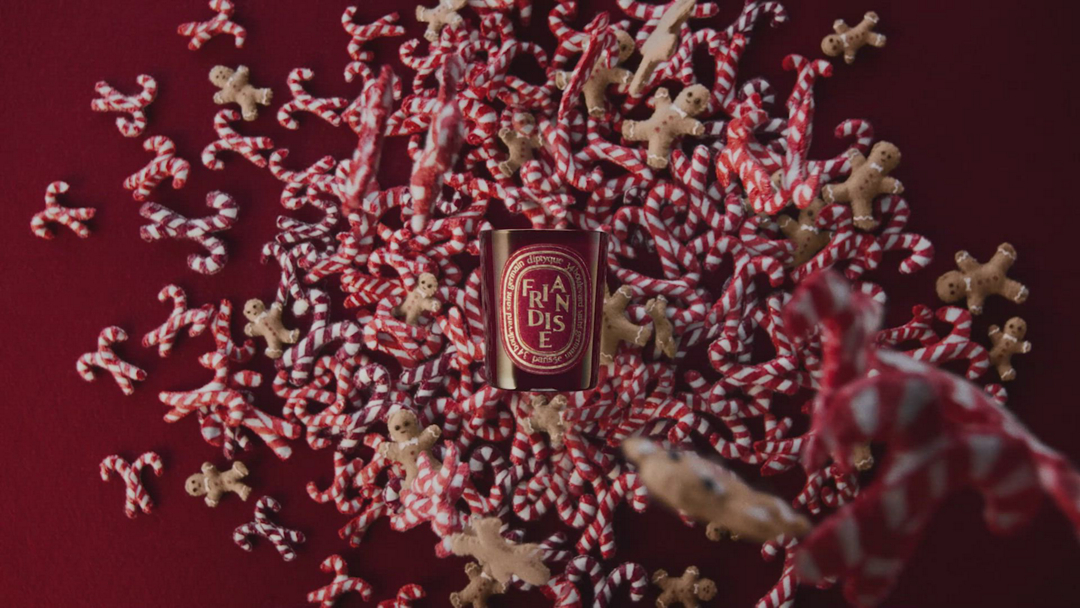 DIPTYQUE Friandise (Sweet Treat) Candle | Holt Renfrew