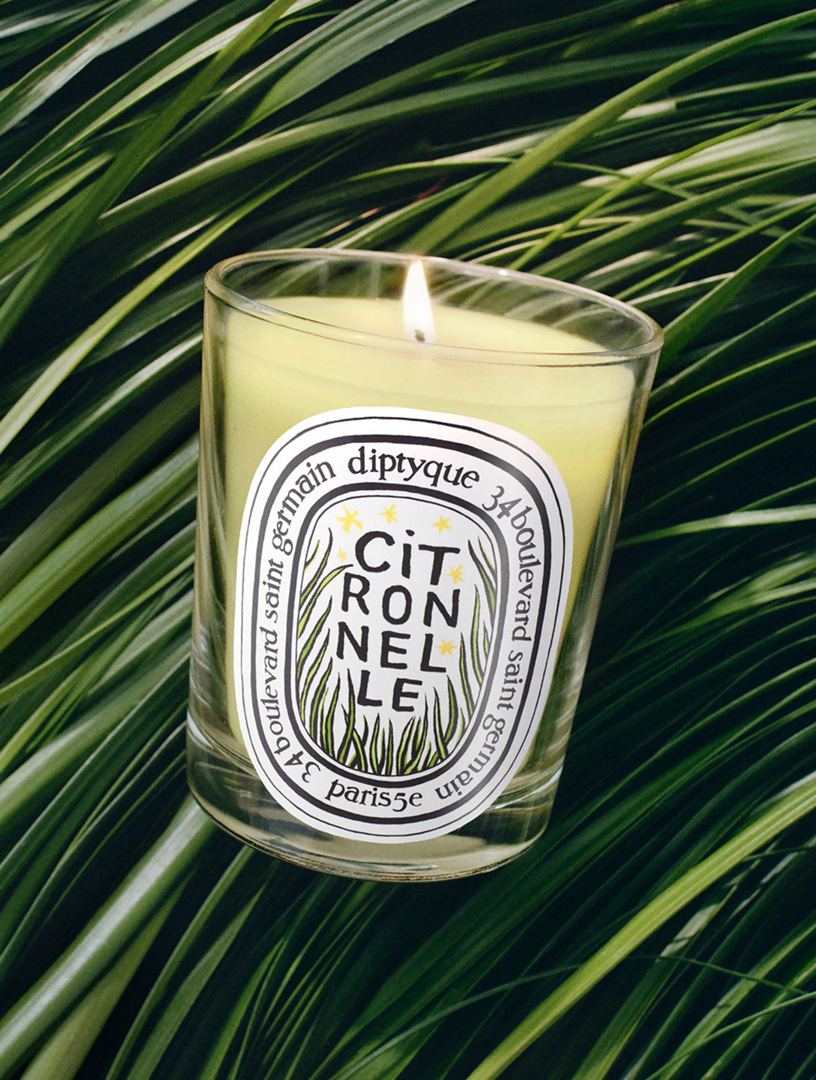 DIPTYQUE Citronnelle (Lemongrass) Scented Candle - Limited Edition