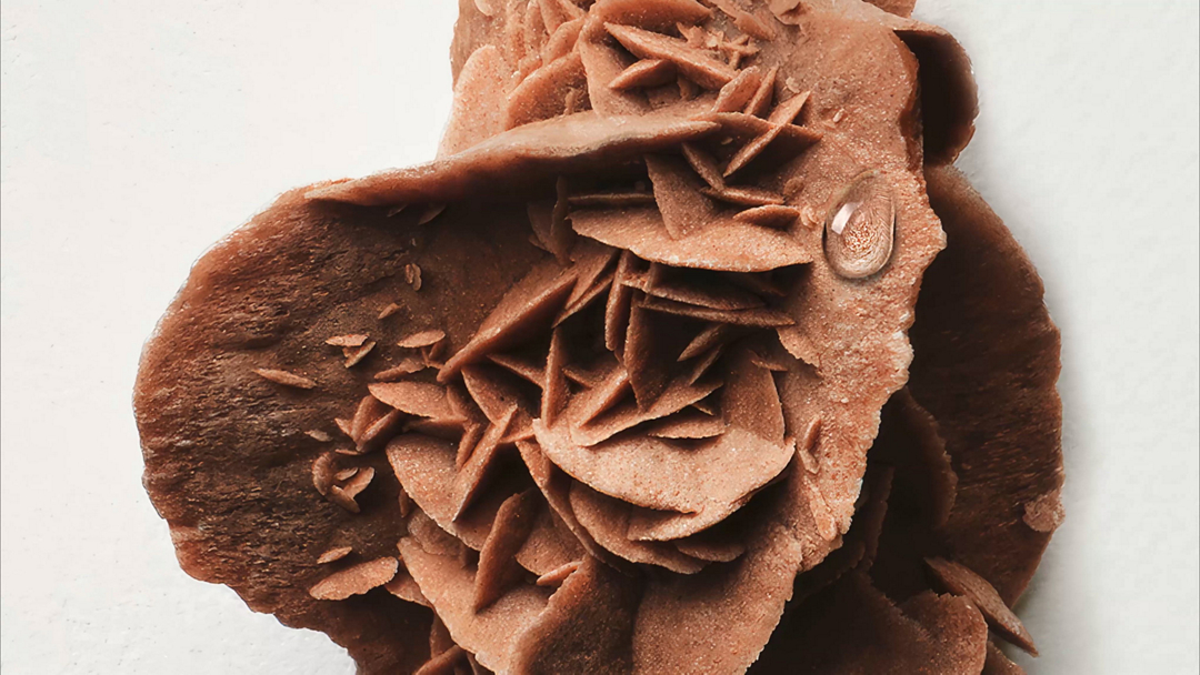 DIPTYQUE Rose Roche Eau de Parfum | Holt Renfrew