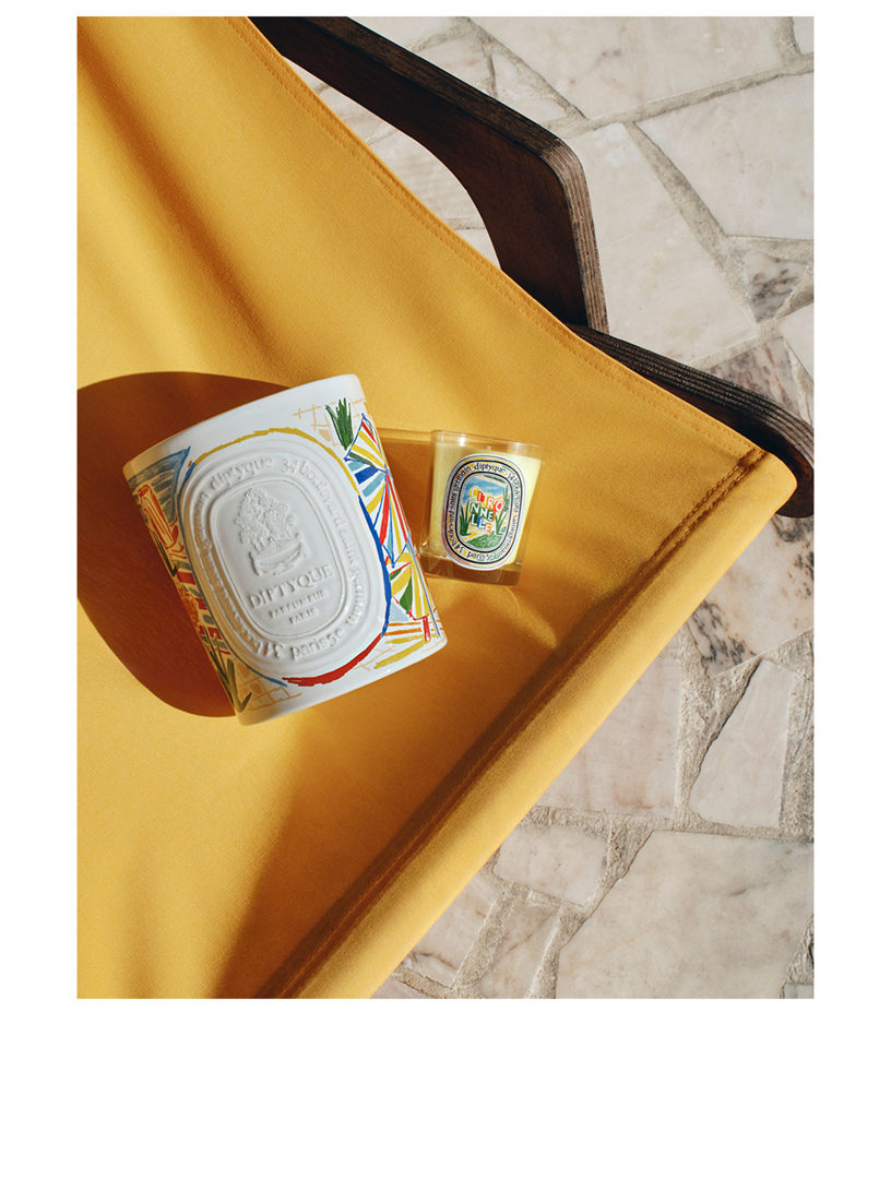 DIPTYQUE Citronnelle (Lemongrass) Indoor & Outdoor Scented Candle