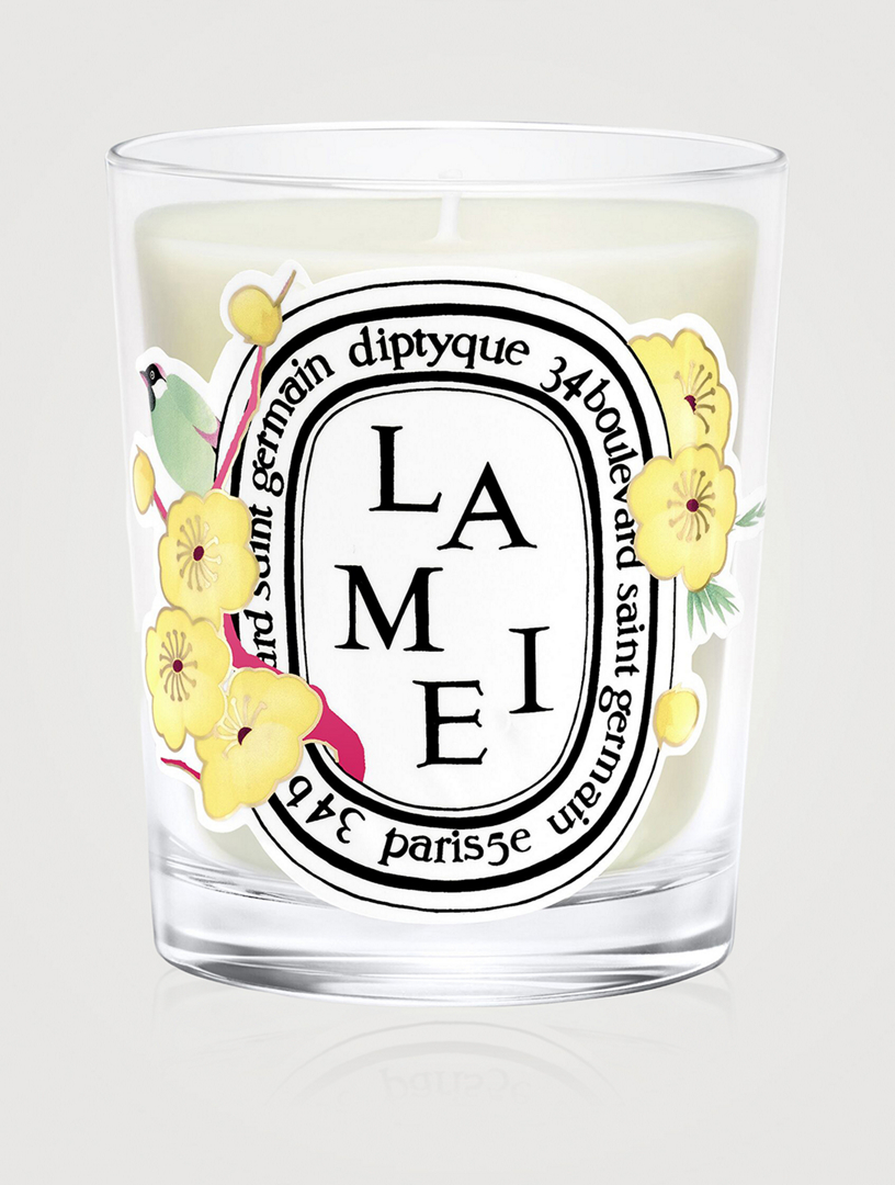 DIPTYQUE Lamei (Wintersweet) Classic Candle | Holt Renfrew